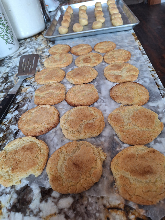 snicker doodle cookies