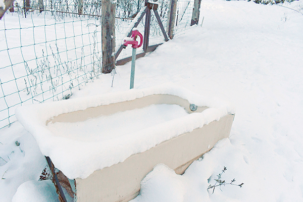 Water tub in the Winter