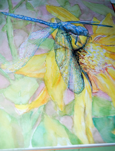 Dragonfly Sunflower 18