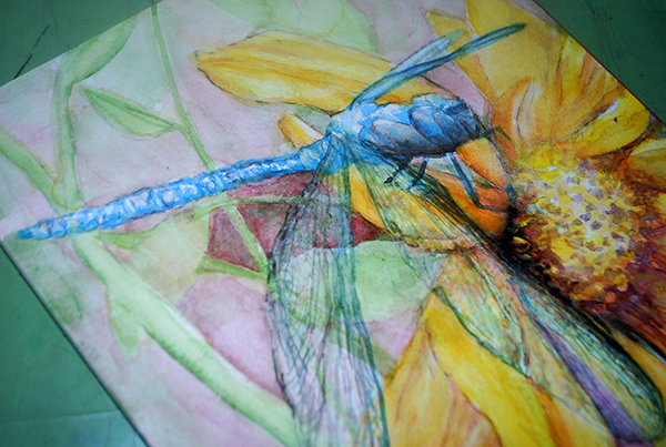 Dragonfly Sunflower 21